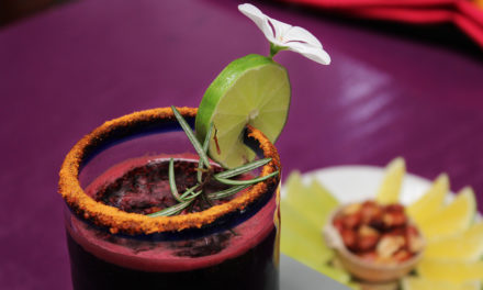 Mezcalín de jamaica con chapulines en Casa Coyotepec