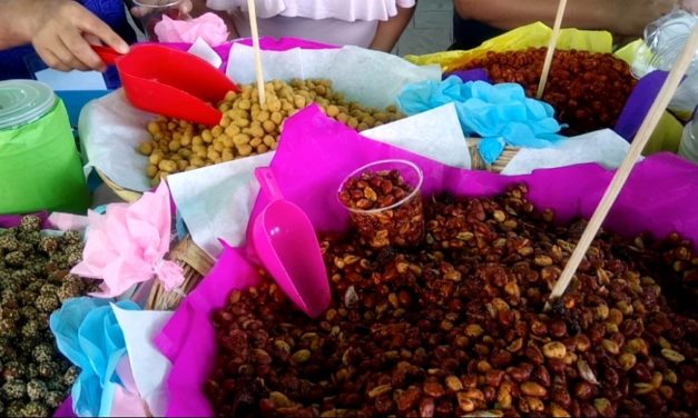 Feria de la Nuez, Cacahuate y Cocina Tradicional en Zaachila