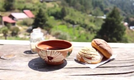 Rayito del Sol, comida para vivir en armonía