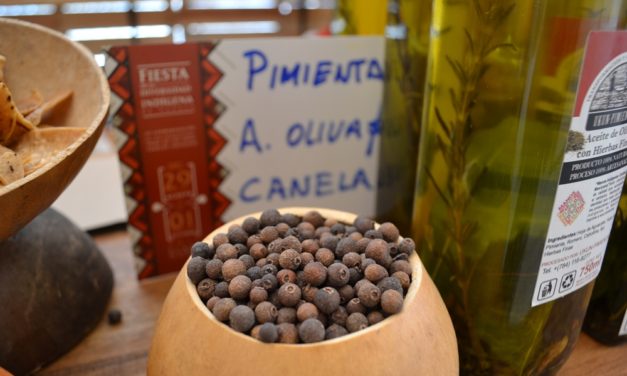 Un encuentro de sabor y color en la Fiesta de la Diversidad Indígena