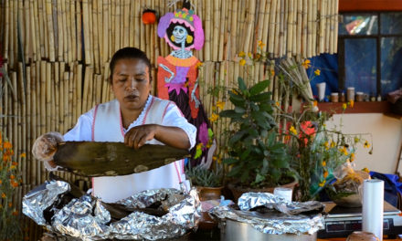 Sabor auténtico de Oaxaca | Maíz Cocina Tradicional