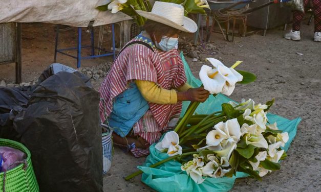 Día de plaza en Tlaxiaco, el mercado tradicional en la Mixteca