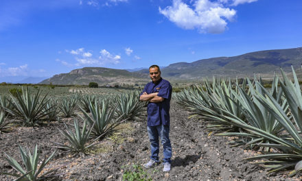 Gaudencio Ruiz Mateo, el chef zapoteca, inicia de vuelta
