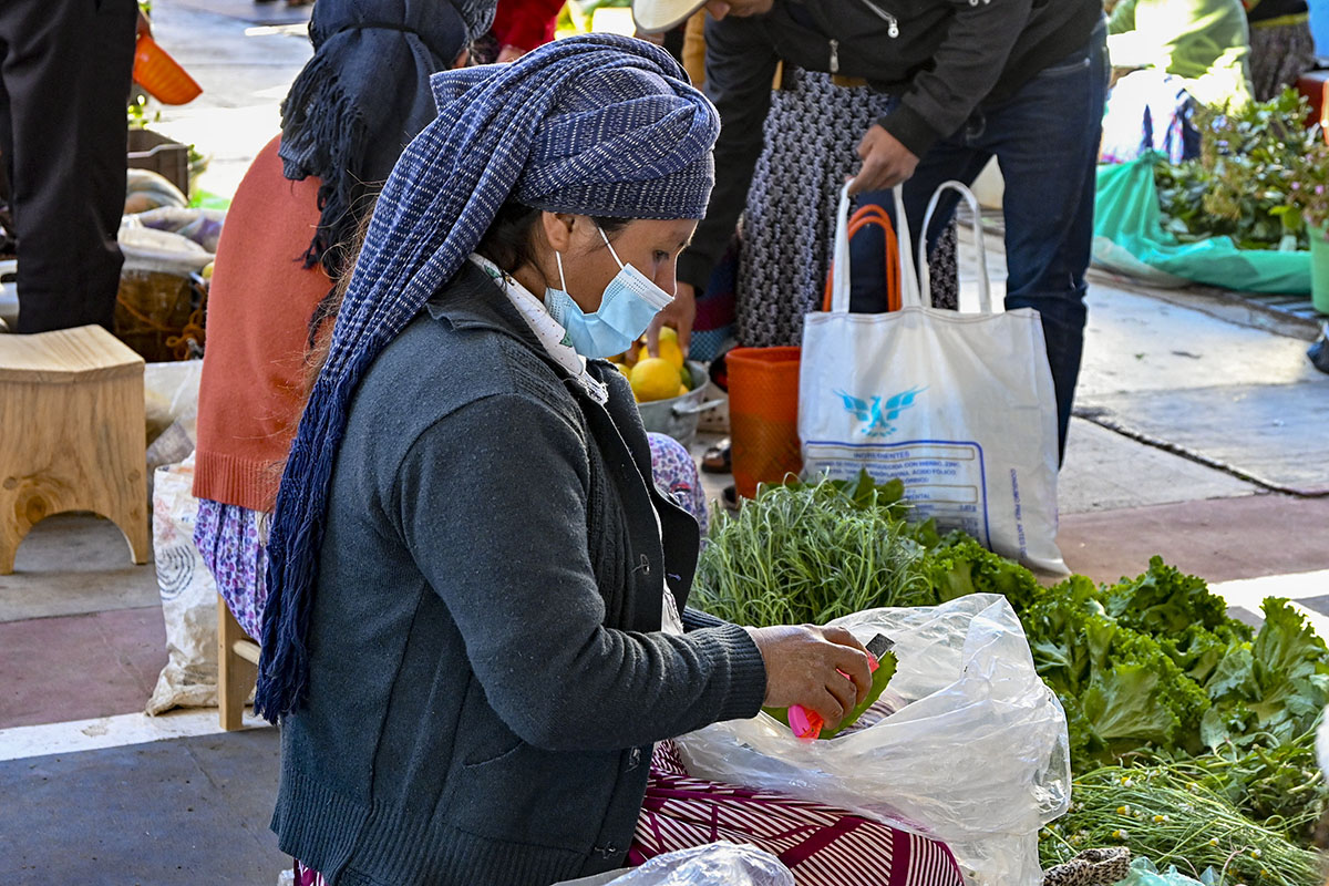 Día de plaza en Santa María Tlahuitoltepec, Mixe Leche con tuna