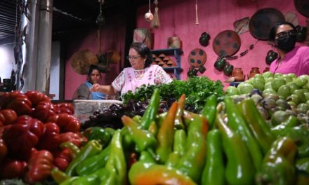 Sabores de México, el libro que documenta la cultura culinaria del país
