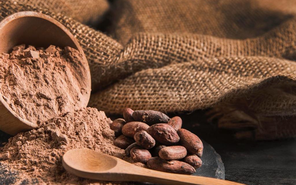 Oaxaca celebra el Día Nacional del Cacao y el Chocolate