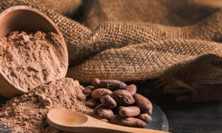Oaxaca celebra el Día Nacional del Cacao y el Chocolate