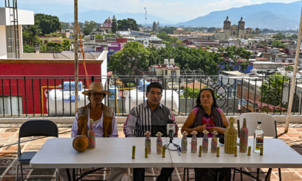 Anuncian la primera Feria del mezcal tradicional en San Luis Amatlán