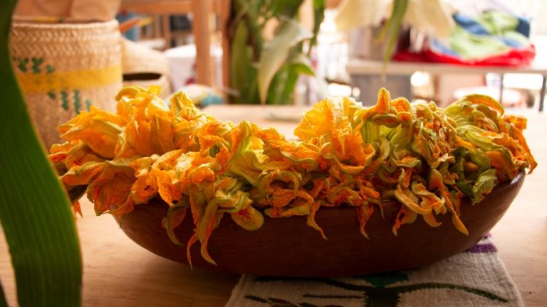 Quesadilla de flor de calabaza