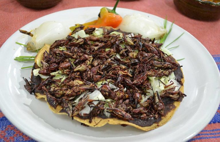 Tostada de chapulín en Tlayudas El Negro