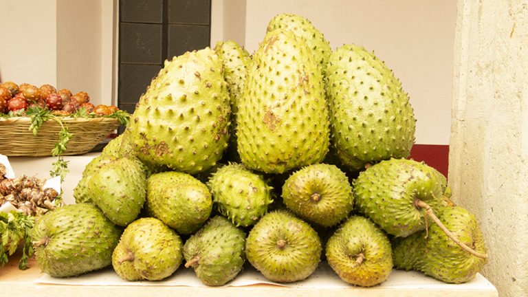 Guanábana anticancerígena