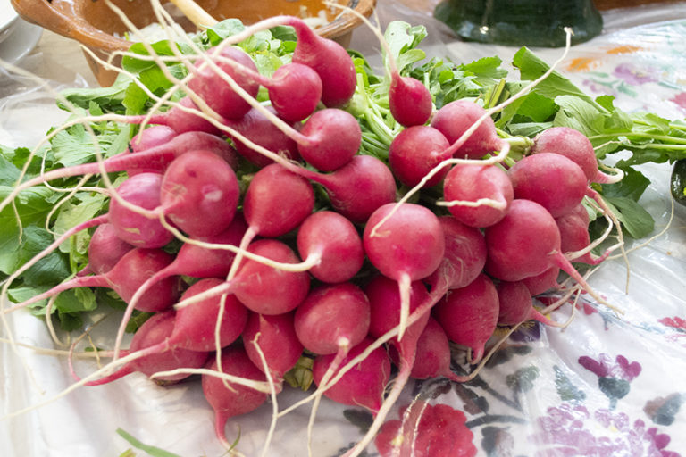 Los beneficios de comer rabanitos