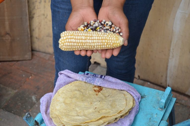 Domingo de «Slow Food» en Espacio Mezcal