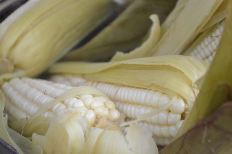 Top 3 de elotes y esquites