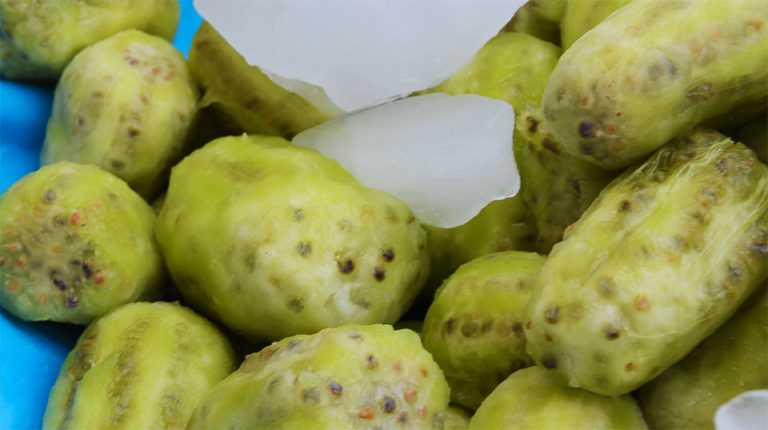 Comenzó la temporada de tunas