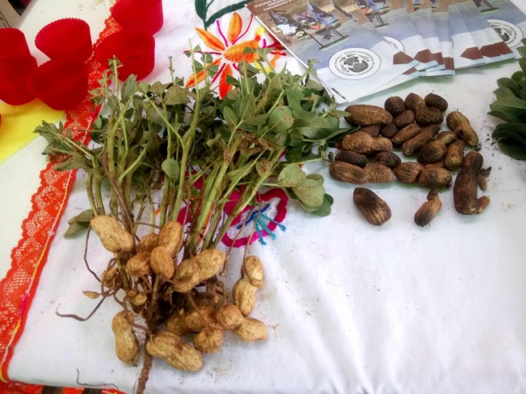 Feria de la Nuez, Cacahuate y Cocina Tradicional en Zaachila