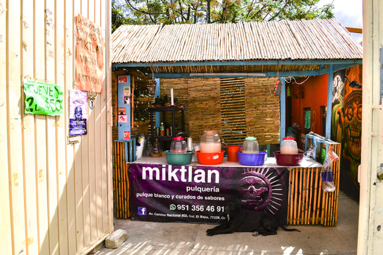 Pulquería Miktlán