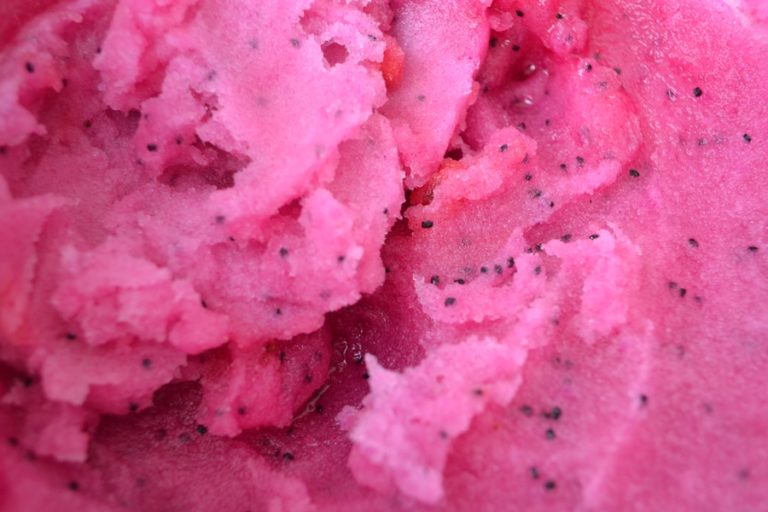 Nieves de cactáceas