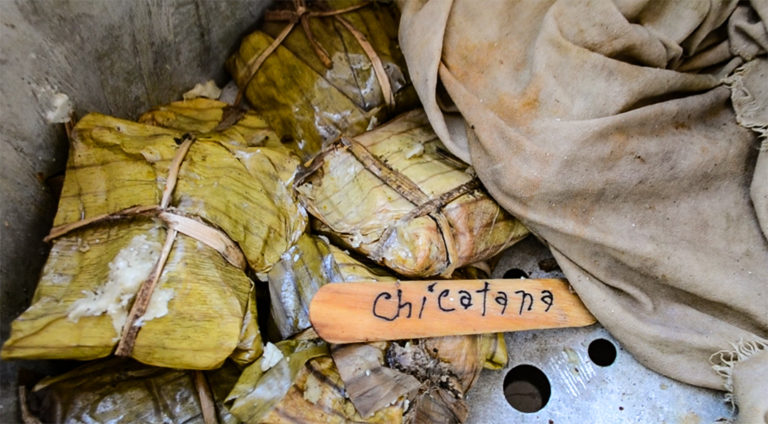 Festival de comida costeña en San Jacinto Amilpas