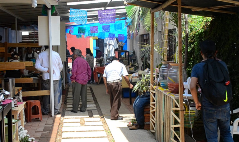 Conoce la comida oaxaqueña en un sólo lugar, Colectivo 8  Regiones