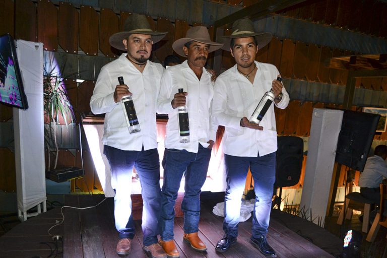 Colibrí del Sur apuesta por Y’dob, mezcal que busca seducir a los paladares más exigentes