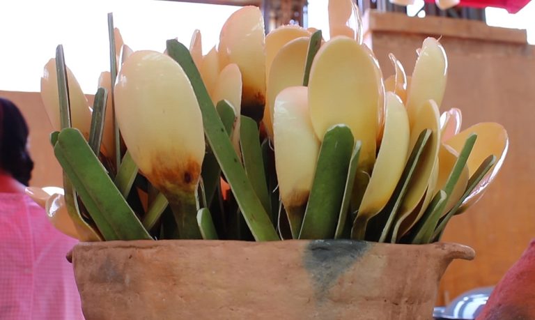 Cucharilla, un cubierto natural de la Mixteca