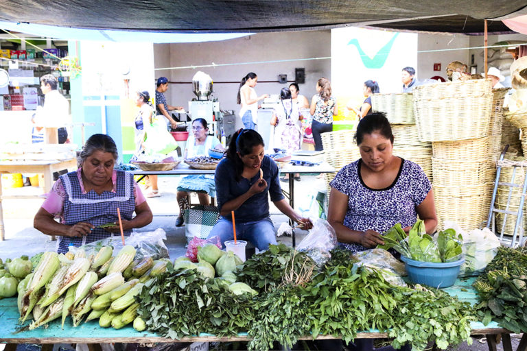México desprecia especies nutritivas, advierte especialista
