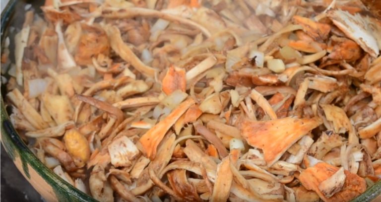 Tacos de hongos silvestres, delicia de Cuajimoloyas