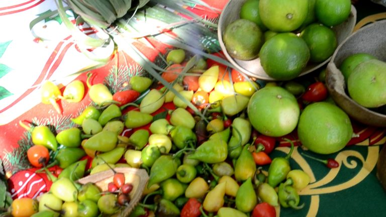 Productos saludables en el mercado orgánico de Huatulco