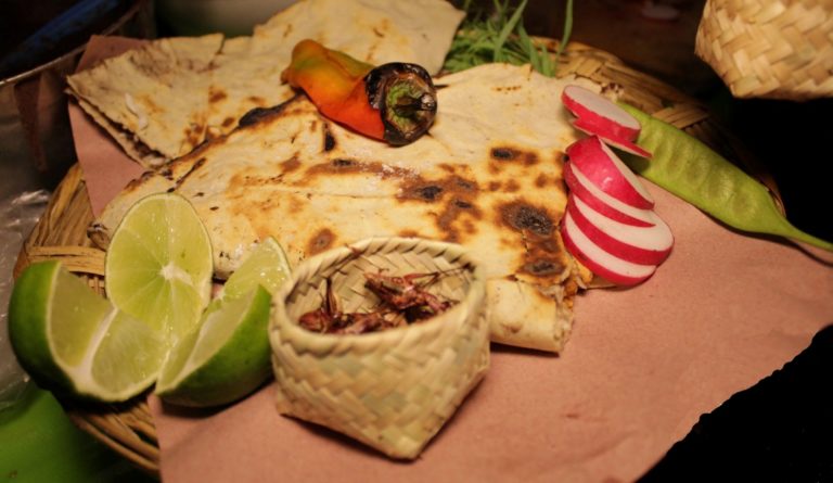 Las mejores tlayudas hasta tu casa