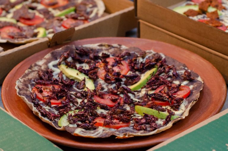 Sa’stinu, una experiencia culinaria irrepetible en la Ciudad de México