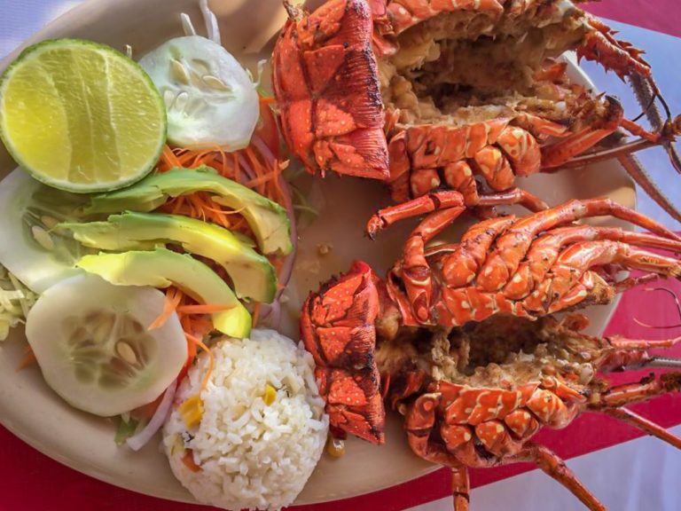 Restaurante Olguita, una experiencia suprema en Agua Blanca