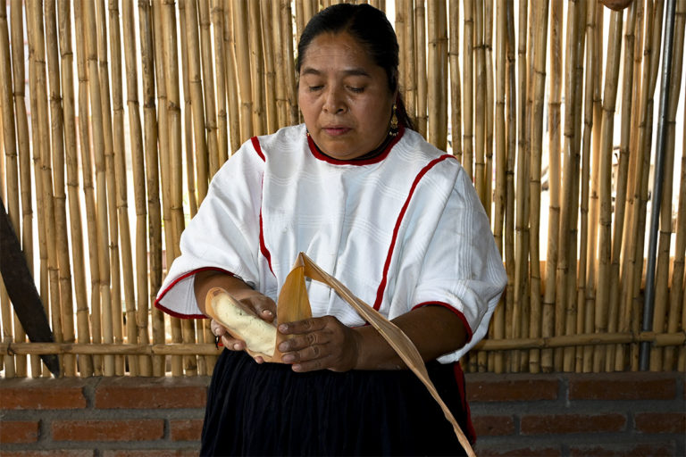 La cocina de Minerva