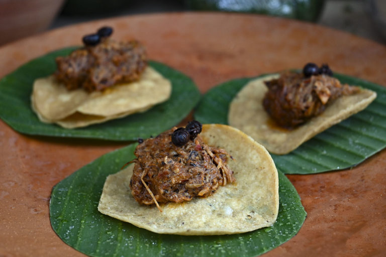 Insectos, el protagónico del recetario oaxaqueño