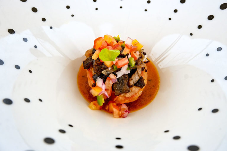 Animales exóticos, una experiencia que se vive en Zimatlán