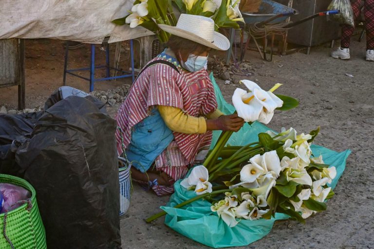 Día de plaza en Tlaxiaco, el mercado tradicional en la Mixteca