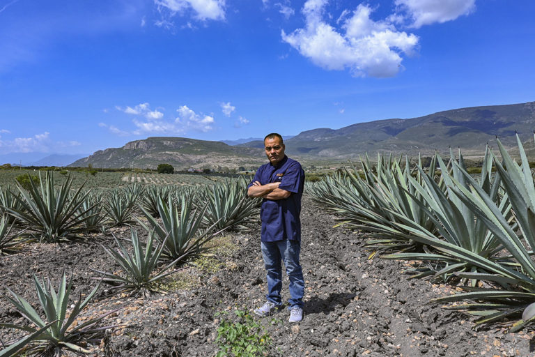Gaudencio Ruiz Mateo, el chef zapoteca, inicia de vuelta