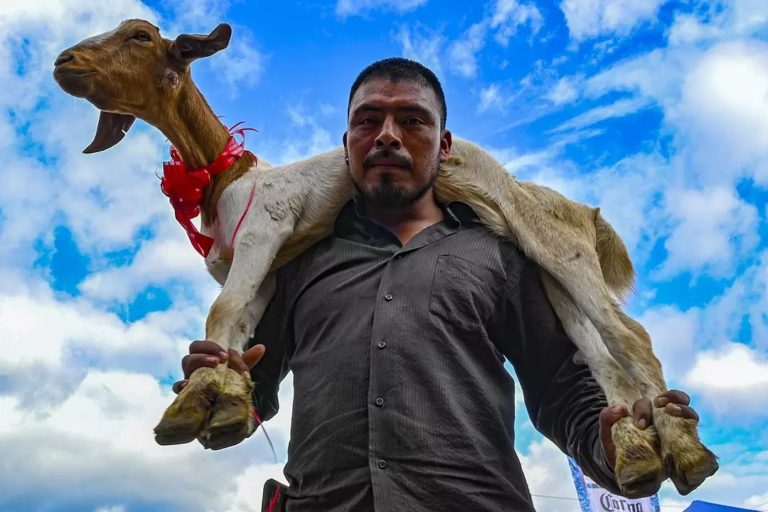 Mole de caderas, de un platillo humilde a gourmet
