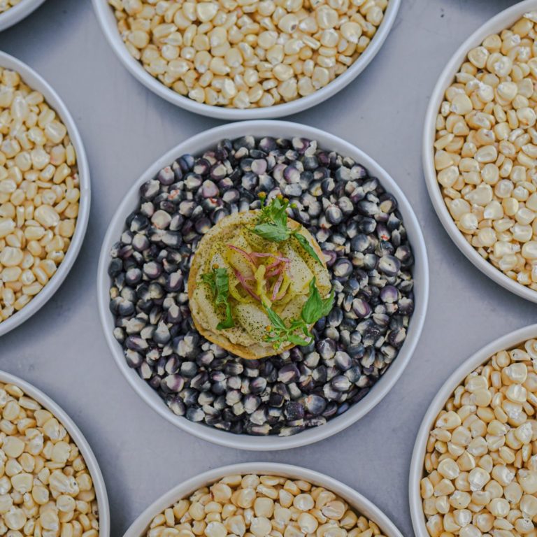 Música y jazz en San Cristóbal de las Casas