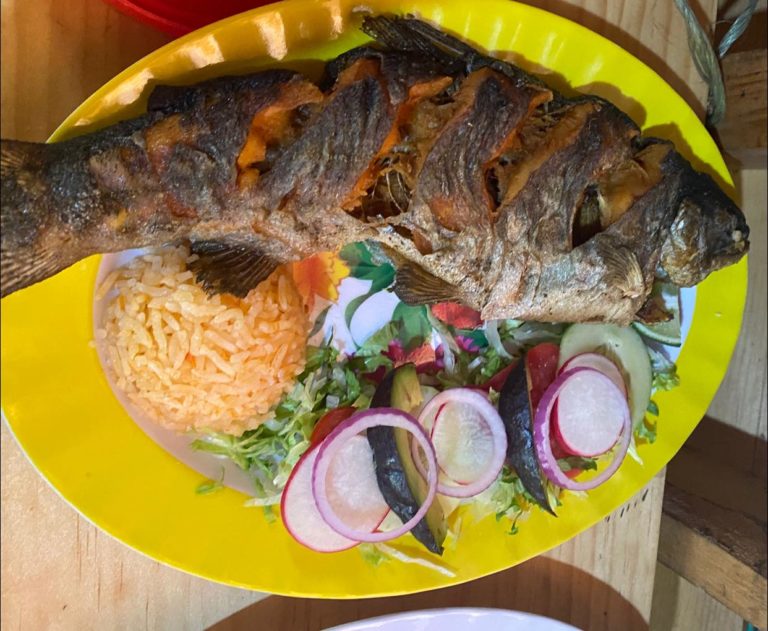 Rancho San Melchor, un pedacito de cielo