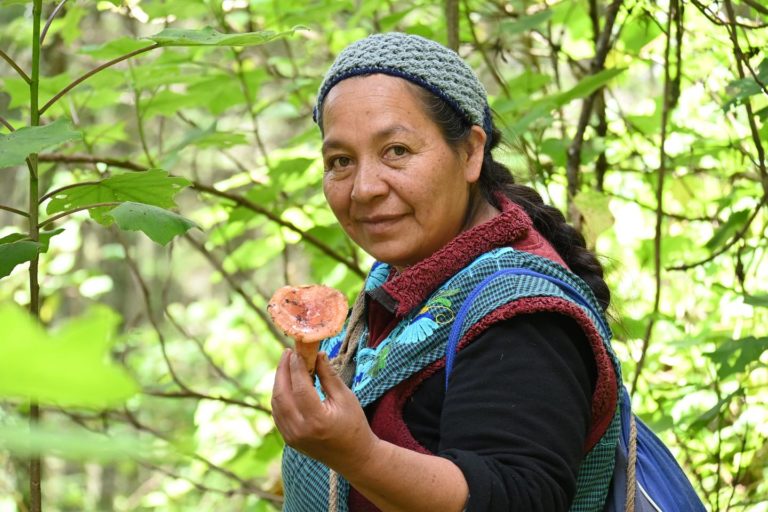 Marta Contreras, la embajadora de los hongos silvestres