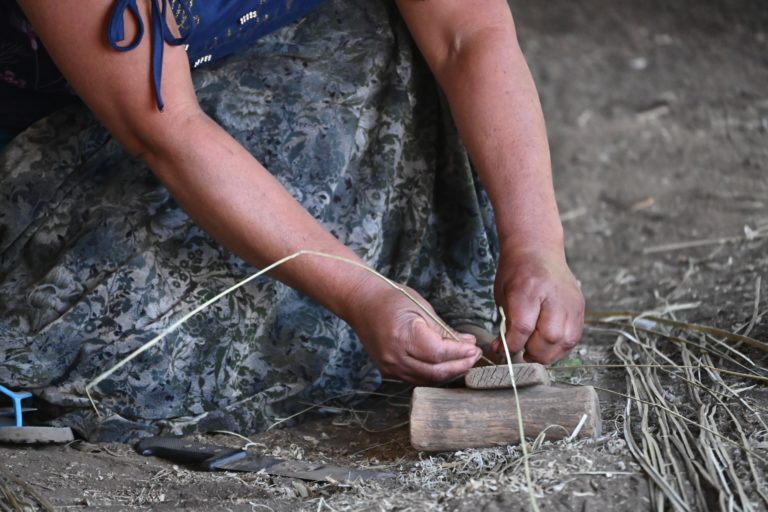 Arte, sabor y tradición en Santa Cruz Papalutla