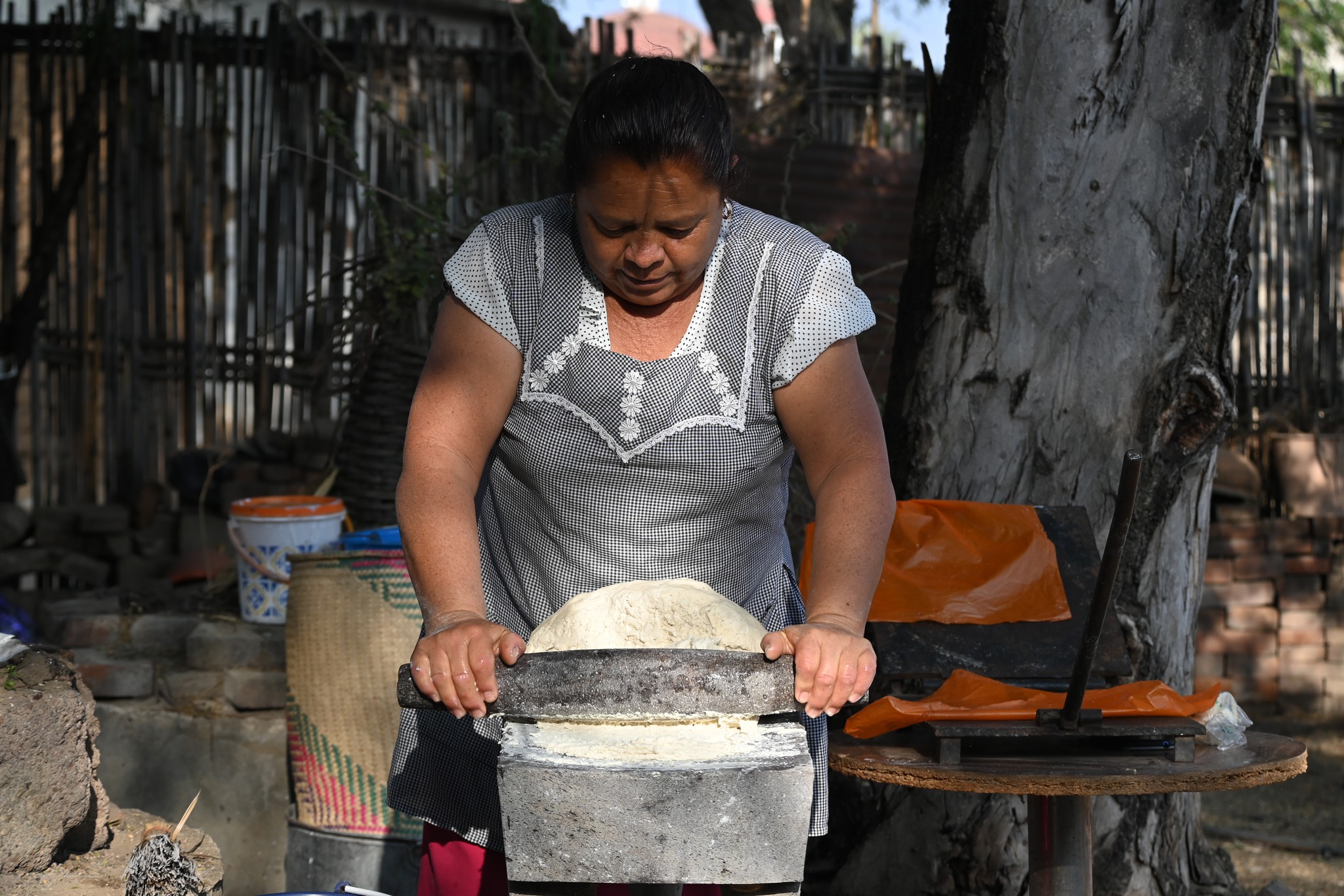 Arte, sabor y tradición en Santa Cruz Papalutla Leche con tuna