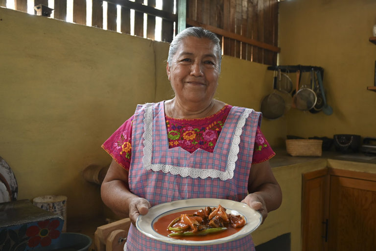 El encanto del mole amarillo