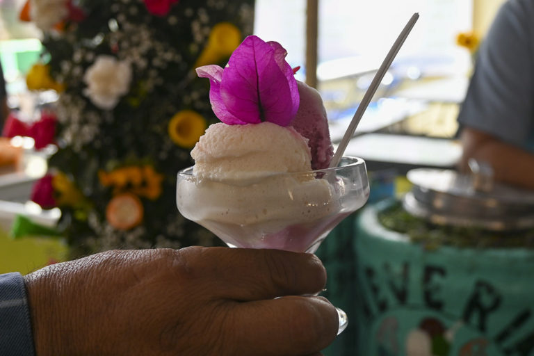 Celebrando la grandeza de la nieve