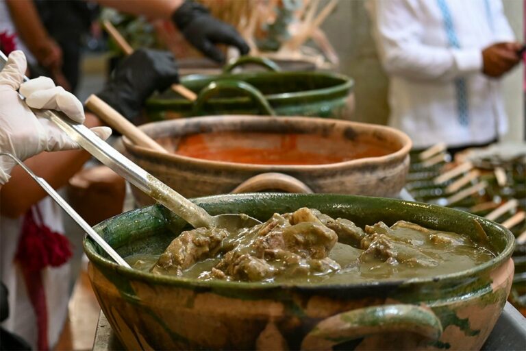 Festival de los Moles: Una celebración de sabores y tradición