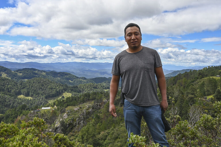 Cuajimoloyas: Un retrato vivido de la Sierra Norte