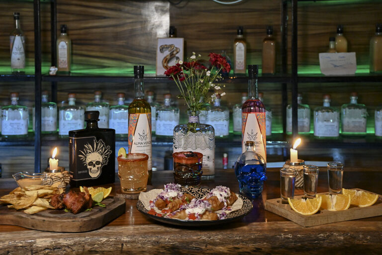 Bajo el signo del agave