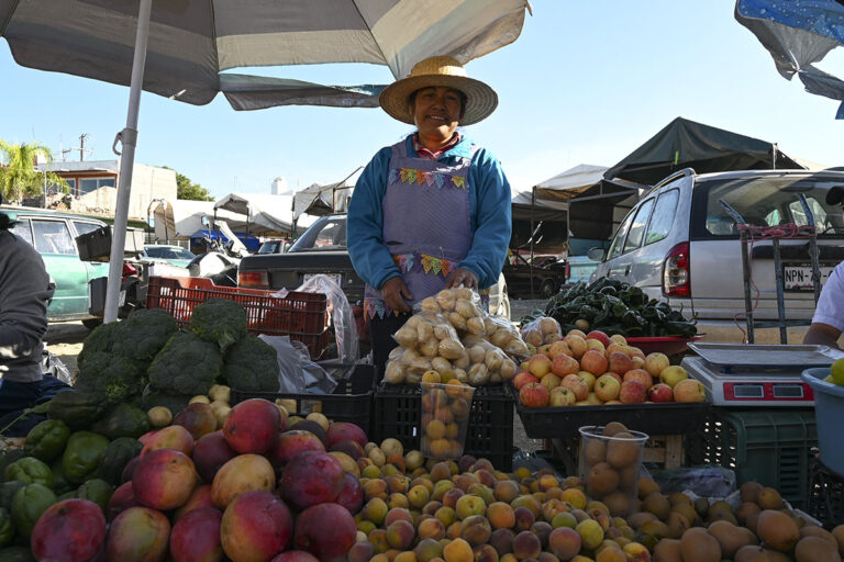 El mercado que invita a los sentidos