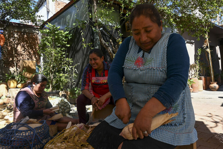 Compartiendo cosecha, un tributo al maíz